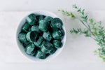 Load image into Gallery viewer, Frozen Spirulina, cubes
